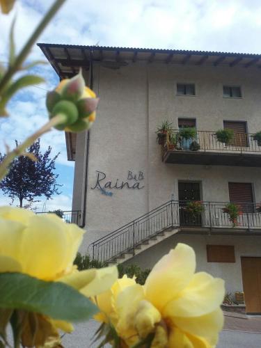 B&B RAINA – Photos 5