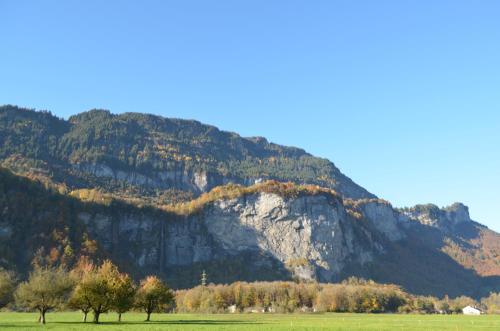a mountain in front of a green field with trees at Mountain-Panorama in Meiringen