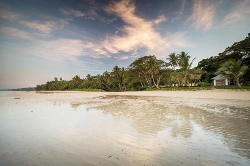 a beach with palm trees and a house in the distance at Wellesley Resort Fiji in Vunaniu