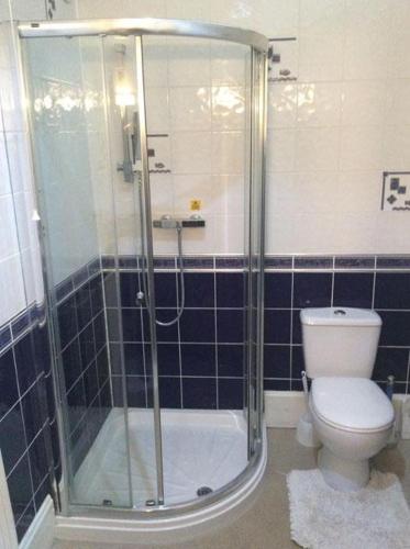 a bathroom with a shower and a toilet at Cavell House Bed and Breakfast in Clevedon