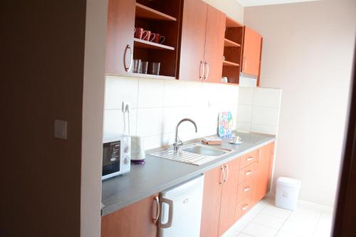a kitchen with a sink and a microwave at Apartments Viola Superior in Promajna