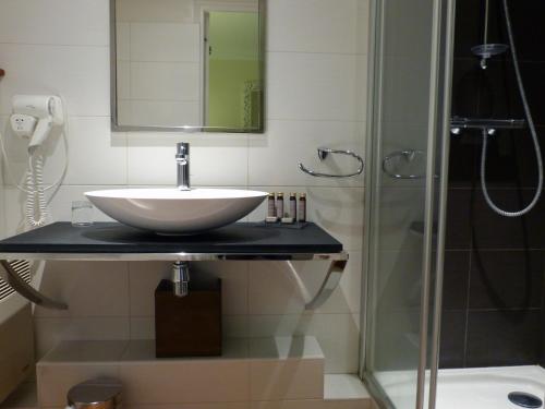 un baño con lavabo y ducha en Le Pave d'Hotes, en Beuvron-en-Auge