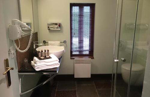 een badkamer met een wastafel en een douche bij Le Pave d'Hotes in Beuvron-en-Auge