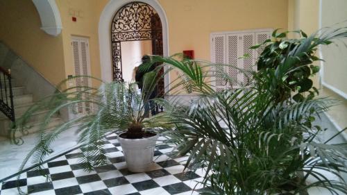 Elegant 2 Bedroom Apartment in Historic 1882 Building Central Sevilla Private Parking & Country Club Access photo 10