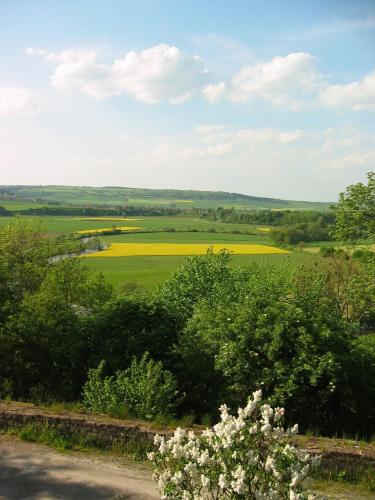 a view of a field from a hill with flowers at Hotel & Restaurant - Gasthaus Brandner in Trendelburg