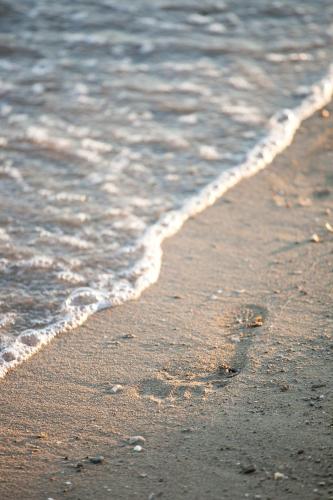 a close up of the shoreline of a beach at Apartment Anastazija in Omiš