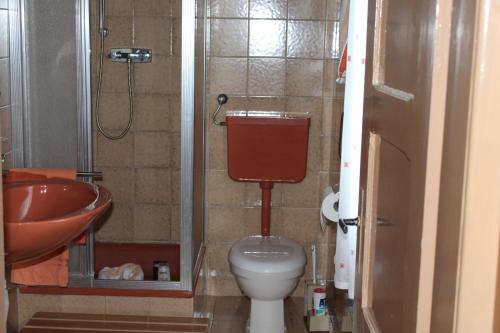 a small bathroom with a toilet and a sink at Ferienhaus Laydeckersch in Mastershausen