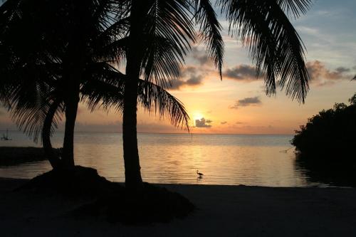Costa De Cocos – Photos 3