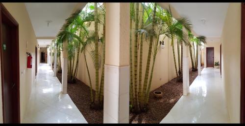 a hallway with palm trees in a building at Hotel Premier in Campo Grande
