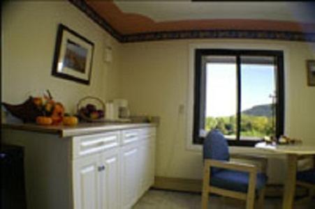 cocina con ventana, mesa y sillas en Appalachian Motel en Vernon