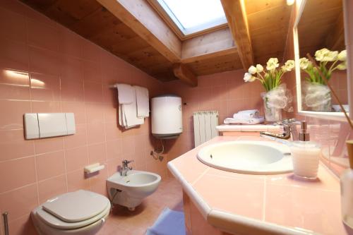 ヴァルディソットにあるCasa Colturiのバスルーム(トイレ、洗面台付)
