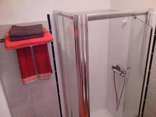 a bathroom with a shower with red towels at Cactus Anse Des Rochers in Saint-François