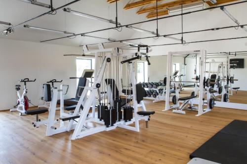 a gym with lots of treadmills and ellipticals at Hotel Panství Dlouhá Lhota in Dlouhá Lhota