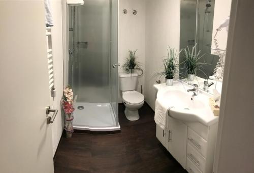 uma casa de banho com um chuveiro, um WC e 2 lavatórios. em Gasthaus zur Quelle em Bad Marienberg
