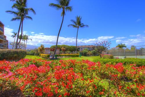 Zahrada ubytování Maui Vista 3105