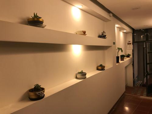 a hallway with shelves with potted plants on them at Carcamanes 17 Gastro-Hotel in Guanajuato