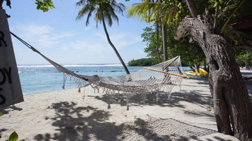 a hammock on a beach next to the ocean at Canopus Retreat Thulusdhoo in Thulusdhoo