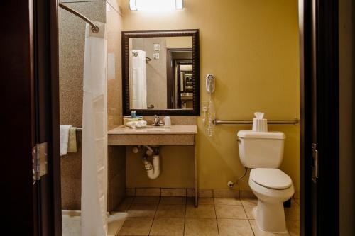 a bathroom with a toilet and a sink and a mirror at Holiday Inn Express Hotel & Suites Waller, an IHG Hotel in Waller