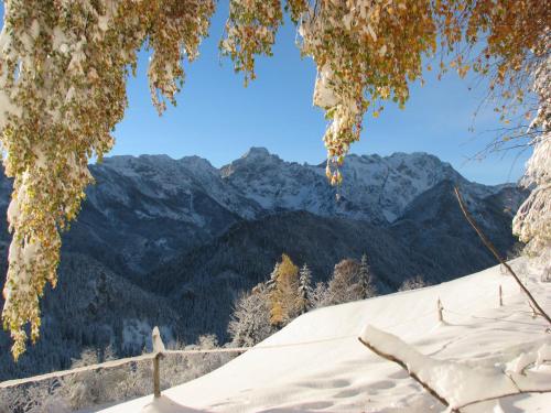 a snow covered roof with mountains in the background at Holiday chalet "ALPINE DREAMS" with PRIVATE WELLNESS in Solčava