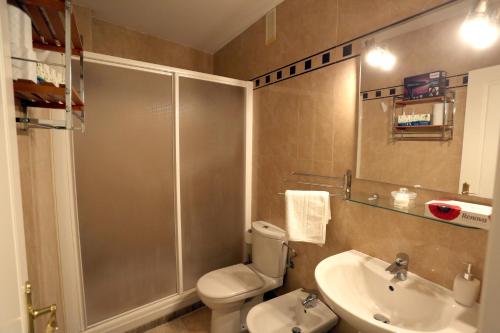uma casa de banho com um chuveiro, um WC e um lavatório. em Apartamento Duque de Arcos 2 em Arcos de la Frontera