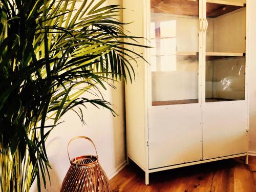 帕绍Boutique Hotel Morgentau的坐在白色橱柜旁的植物