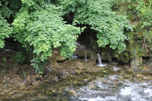a stream of water with trees in the background at Apartment Snježana in Slunj
