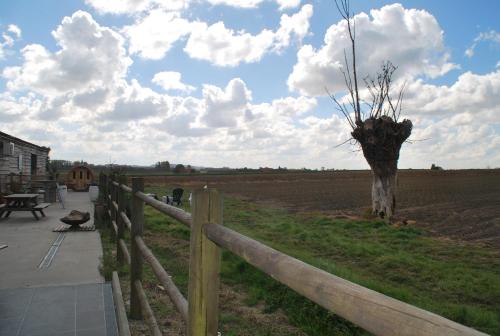 a fence next to a field with a tree at Maison Marie in Poperinge