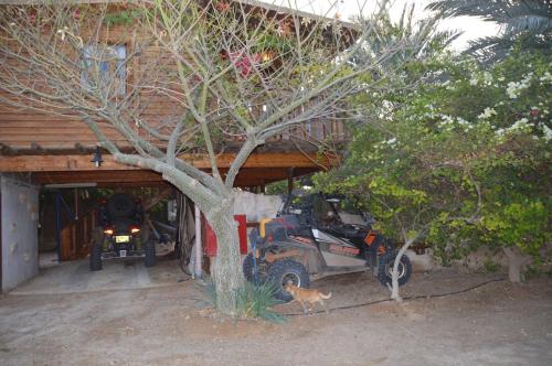 a dog is standing in front of a garage at Shkutai Hottub Arava in Ẕofar