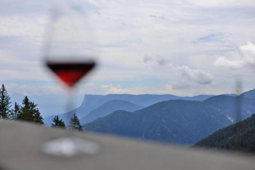a glass of wine with mountains in the background at Familyparadies GAMPLALM in Lana