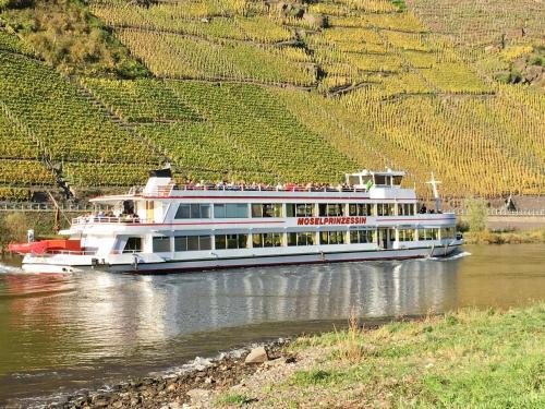 a boat traveling down a river near a vineyard at Dolcevita in Bad Bertrich