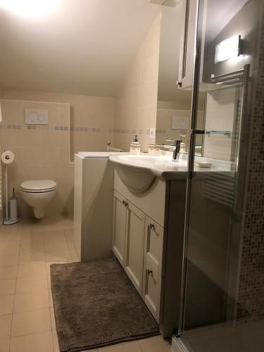 W łazience znajduje się umywalka, prysznic i toaleta. w obiekcie Genzianella Mansarda Molveno-Andalo w mieście Molveno