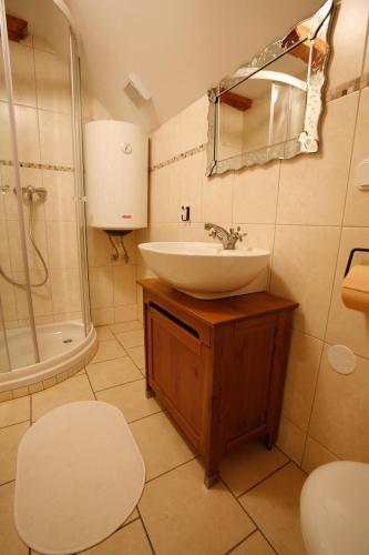a bathroom with a sink and a shower at Apartments Vila Cvetka Bled in Bled