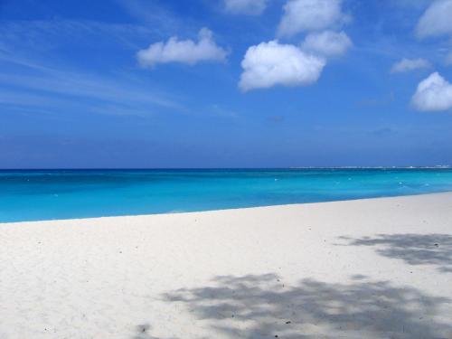 a view of a beach with the blue ocean at Deliziosa Villetta Mancaversa in Marina di Mancaversa