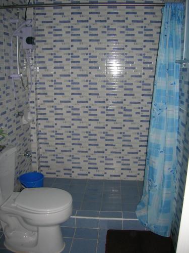 a bathroom with a toilet and a shower at Darayonan Lodge in Coron