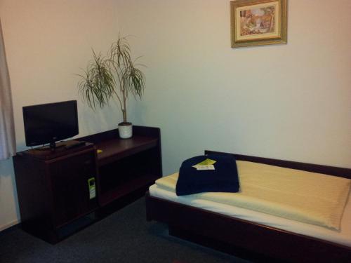 a bedroom with a bed and a tv and a potted plant at Hotel Wippertal - voll klimatisiert in Bernburg