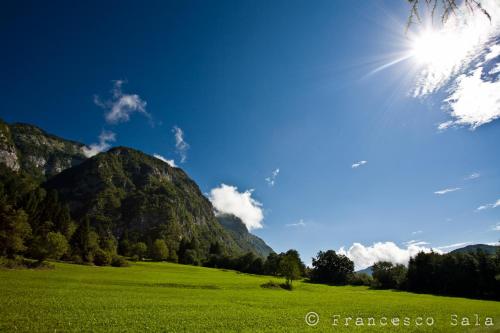 a green field with a mountain in the background at Albergo Diffuso Dolomiti in Forni di Sotto