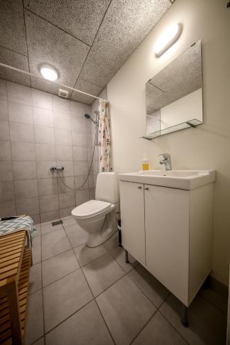 a bathroom with a toilet and a sink and a mirror at Bed and Breakfast Lemvig in Lemvig