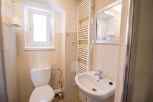 a small bathroom with a toilet and a sink at Apartmány Lea in Liptovský Mikuláš