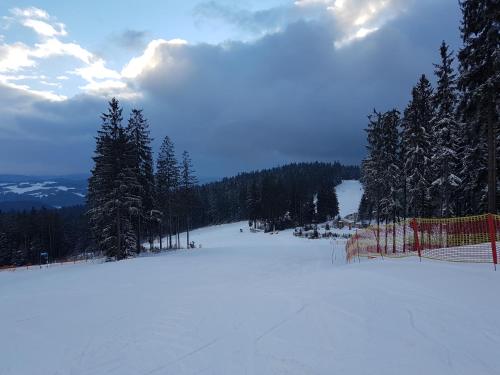 a snow covered slope with trees and a fence at Chalupa na Lipně - Holiday House 1 in Lipno nad Vltavou