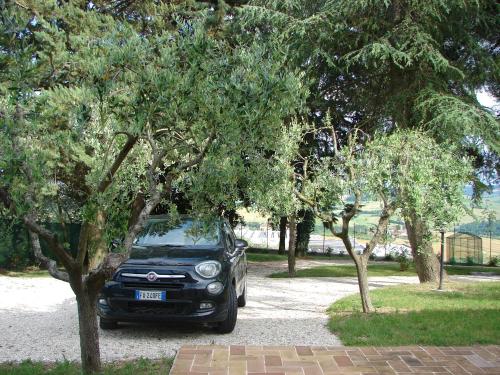 Κήπος έξω από το Villa Poggio San Pietro