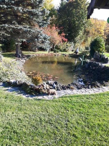 a small pond with rocks in a park at Pension Haus Liesertal in Üdersdorf