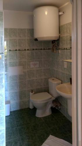 a bathroom with a toilet and a sink at Apartmány Maruška in Stachy