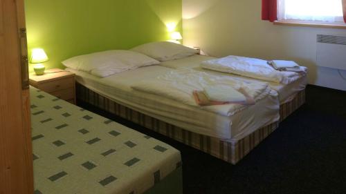 a bedroom with two beds in a room at Apartmány Maruška in Stachy