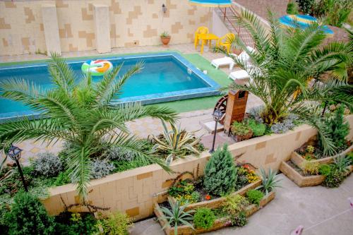 una piscina con palmeras y un montón de plantas en Guest House Planet MOV, en Adler