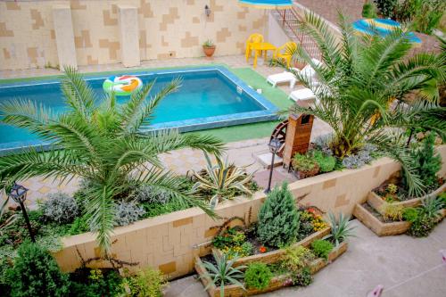 una piscina con palme e un mucchio di piante di Guest House Planet MOV ad Adler