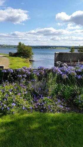 a field of purple flowers next to a body of water at Lakeside Loughrea in Loughrea