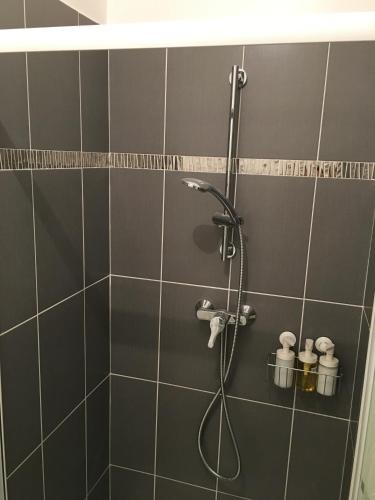 une douche avec un tuyau dans une salle de bain dans l'établissement Sleep in Paris Val d'Europe, à Chessy