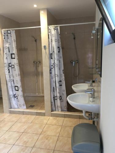 a bathroom with a shower and a sink and a shower at Glamping Suhardul Mic in Lacu Rosu