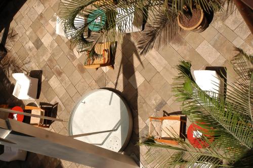 Hotel San Roque في غاراتشيكو: اطلالة علوية على دورة مياه في غرفة بها نباتات