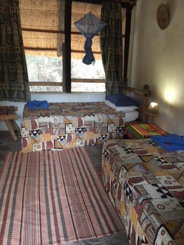 a bedroom with two beds and a window at Sundowner Lodge in Hwange